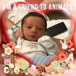 Meet your Posher, Ellen